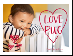 Love Bug