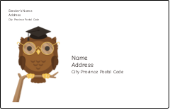 Smart Owl