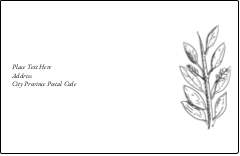 Elegant Floral Frame