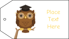 Smart Owl