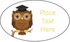 Smart Owl