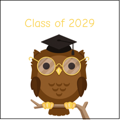 Smart Owl
