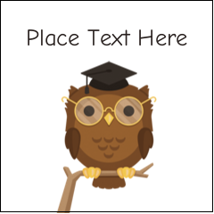 Smart Owl