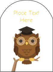 Smart Owl