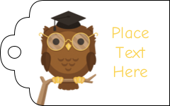 Smart Owl