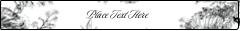 Elegant Floral Frame