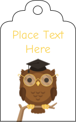 Smart Owl
