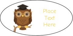 Smart Owl