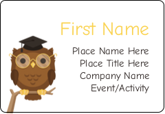 Smart Owl