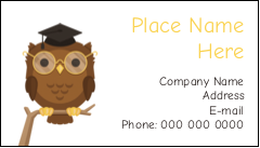 Smart Owl