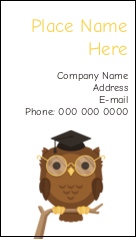 Smart Owl