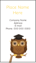 Smart Owl