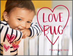 Love Bug