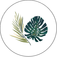 Tropical Foliage