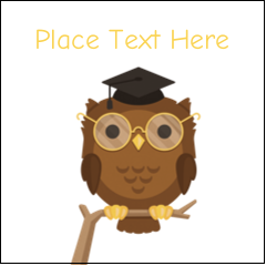 Smart Owl