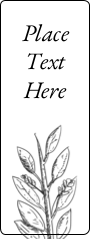 Elegant Floral Frame