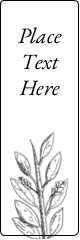 Elegant Floral Frame