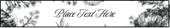 Elegant Floral Frame
