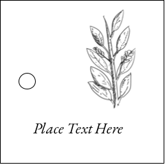 Elegant Floral Frame