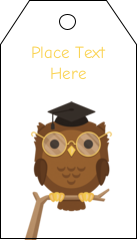 Smart Owl
