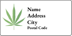 Marijuana Leaf