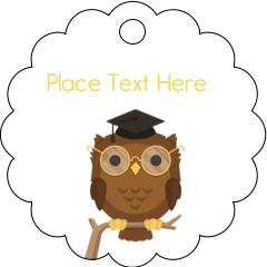Smart Owl