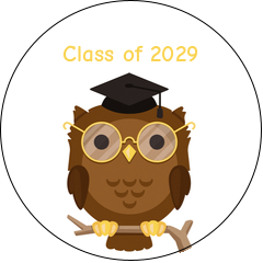 Smart Owl