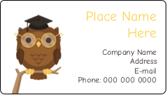 Smart Owl